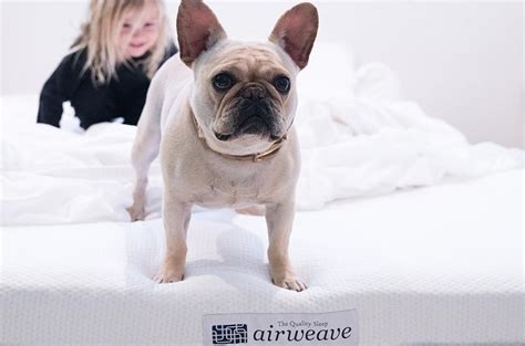 Airweave Mattress Reviews - Should You Purchase? (Coupon Included)