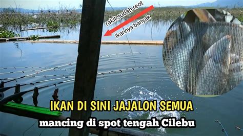 Mancing Cirata Terbaru Bareng Kawan Baru Cianjur Spot Coklat Cilebu