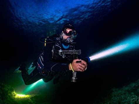 Buceo Nocturno En Los Arcos De Puerto Vallarta Desde 3065 Yumping Mx