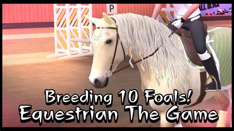 Equestrian The Game Breeding Foals Beautiful Fjord Manes Mixes