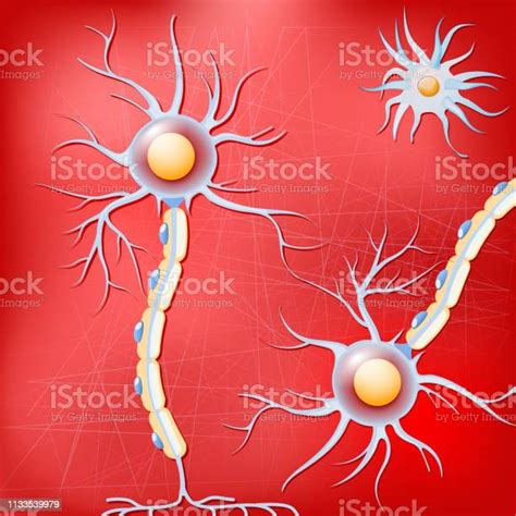 뉴런 및 신경 교 세포의 적색 배경 신경세포에 대한 스톡 벡터 아트 및 기타 이미지 신경세포 알츠하이머병 신경교 Istock