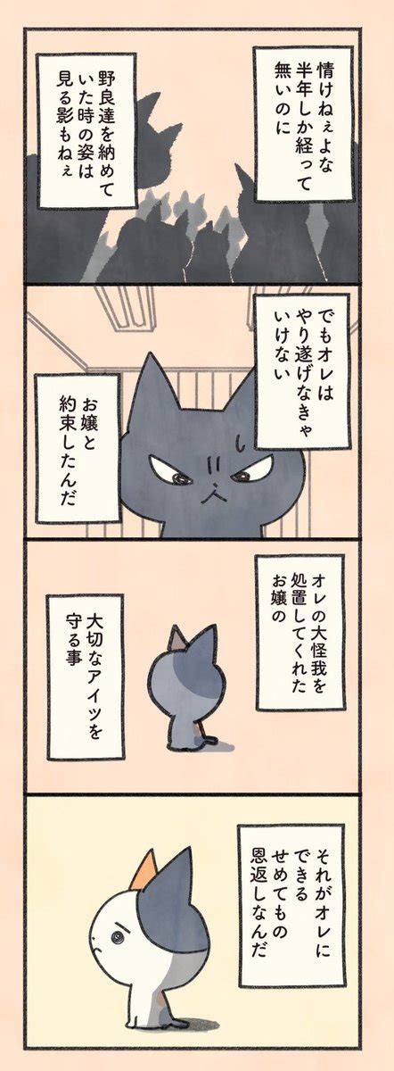 もしもなんて来ないと思ってた猫」第65話 飼い主の凛を思って優柔不断になるクロに、かつての相棒ファットが」オキエイコもしも猫の漫画