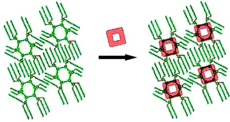 通过形状持久性大环模板在 Hopg 上进行金属环的 2d 组装journal Of The American Chemical