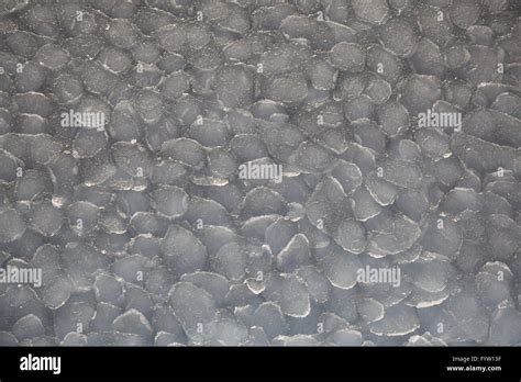 Pancake ice - the initial stage of the formation of ice Stock Photo - Alamy