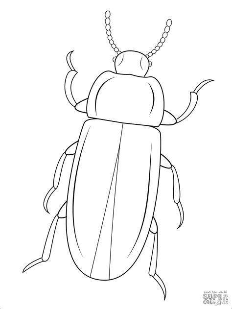 Stag Beetle Coloring Page Coloring Pages