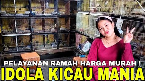 UPDATE HARGA BURUNG TERBARU 2023 KIOS OMBYOKAN DAN GACORAN TERMURAH