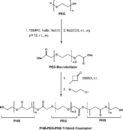 Synthesis Of Phb Peg Phb Triblock Copolymers Through Ring Opening