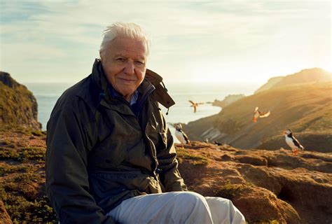 Sir David Attenborough To Present Bbc Series Focusing On The British