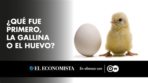 Qu Fue Primero La Gallina O El Huevo Youtube