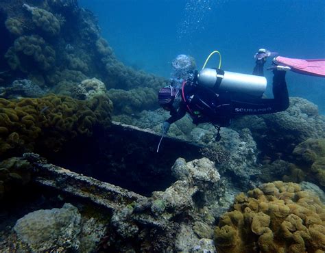 Apo Reef Marine Park - Dugong Dive Center