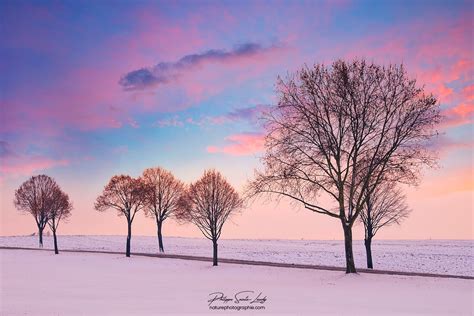 Les Couleurs De Lhiver Couchers De Soleil Sur La Neige