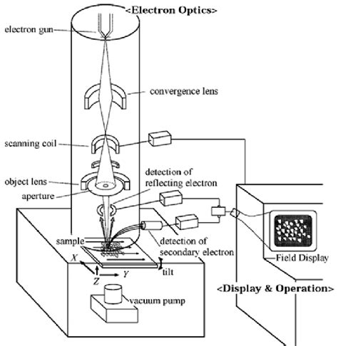 Electron Microscope Diagram