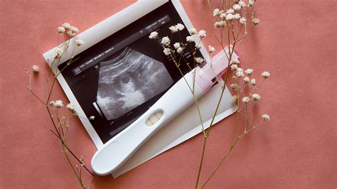 Fetal Development in the First Trimester