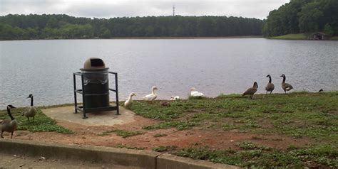 Southwire Lake -2012 - my personal photo - Carrollton, Georgia ...