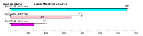 Genus: Mobatvirus | ICTV