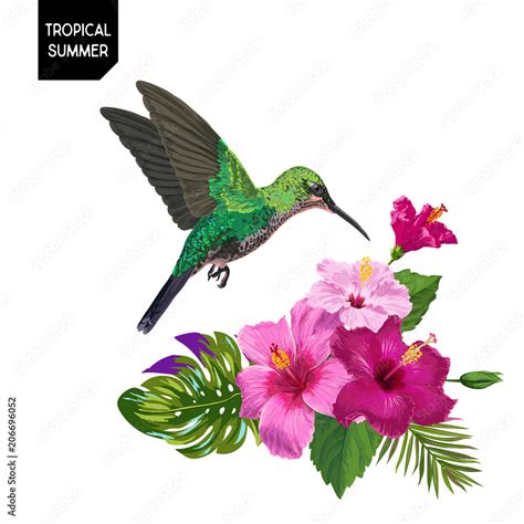 Summer Tropical Design With Hummingbird And Exotic Flowers Floral