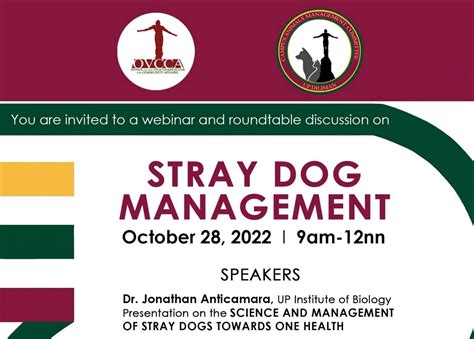 Stray Dog Management University Of The Philippines Diliman