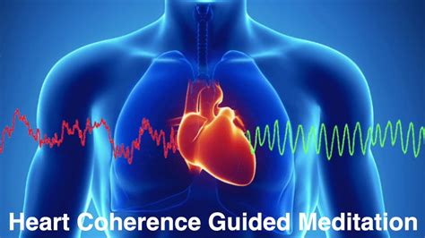 Heart Coherence 10 Mins Guided Meditation Youtube