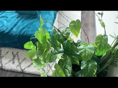 Rough Hardcore Face Slapping And Pissing To American Pornstar XVIDEOS