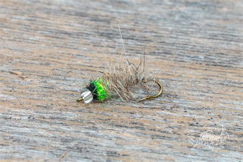 The Mercury Cased Caddis Imitates Brachycentrus Caddis Larvae