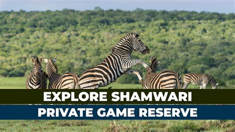 Explore Shamwari Private Game Reserve South Africa