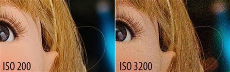 What Does ISO Stand For In Photography Leawo Tutorial Center