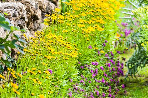 Bordures Fleuries Agencement De Jardin Aux Meilleurs Prix