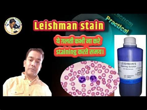 Leishman Stain Practical Leishman Stain Procedure Staining YouTube