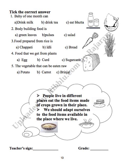 CBSE Class 3 EVS Worksheets Chapter Wise