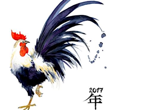 Chinese Astrology Year Of The Yin Fire Rooster 2017 Forever Conscious