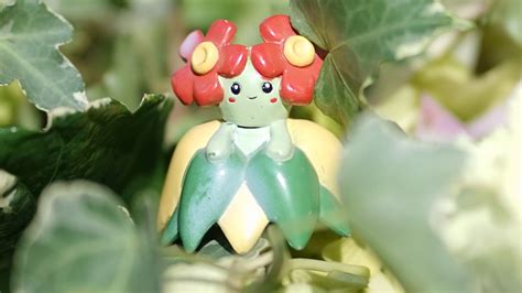 Pokemon Go Vileplume Vs Bellossom The Best Shiny Gloom