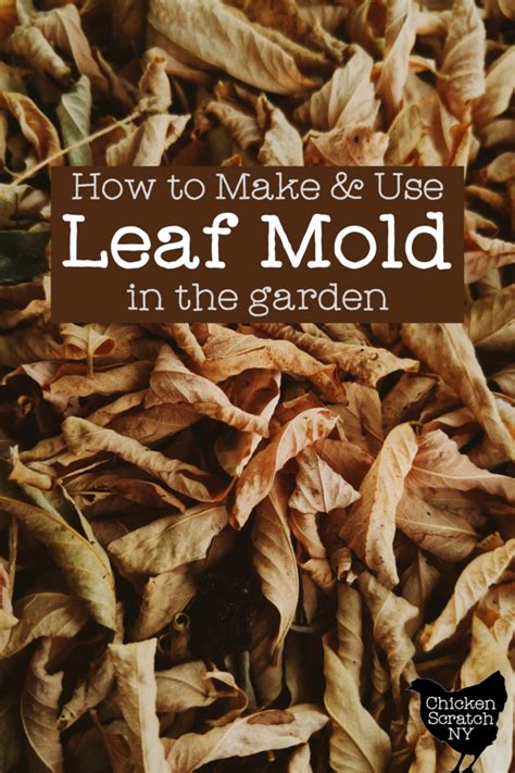 Leaf Mold