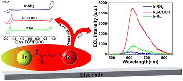 Synthesis And Comparison Study Of Electrochemiluminescence From