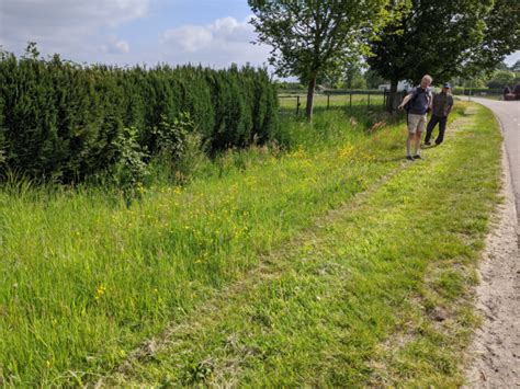 Maaien Van Bermen Gemeente Leudal