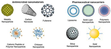 Nanomaterials Free Full Text Nanomedicine New Frontiers In