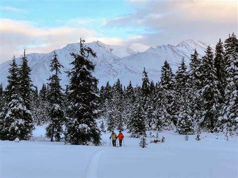 Guided Snowshoeing Adventure From Seward Alaska