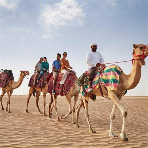 Morning Desert Safari Riyadh | My Saudi Tours