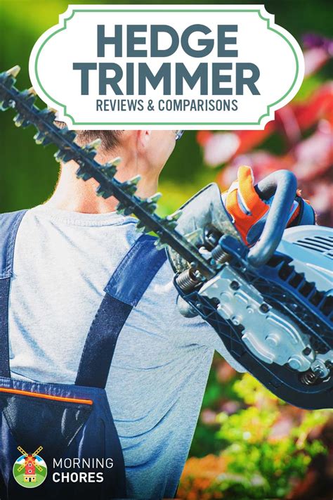 8 Best Hedge Trimmer Reviews (Corded/Cordless Electric and Gas)