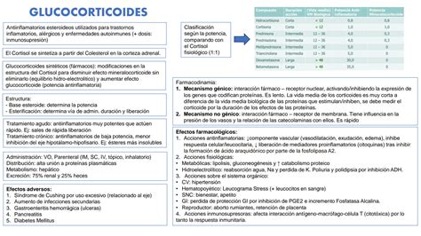 Solution Farmacolog A Medicina Veterinaria Studypool