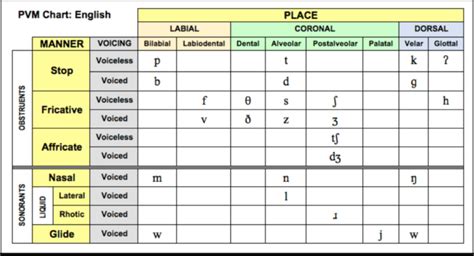 What Are Vowels And Consonants The Difference Tpr Teaching