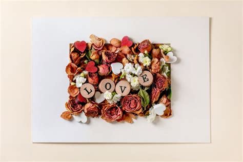 Disposizione Dei Biglietti D Auguri Creativi Con Fiori Immagine Stock