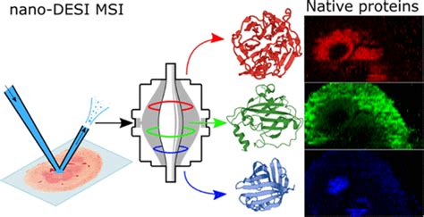 Native Mass Spectrometry Imaging Of Proteins And Protein Complexes By