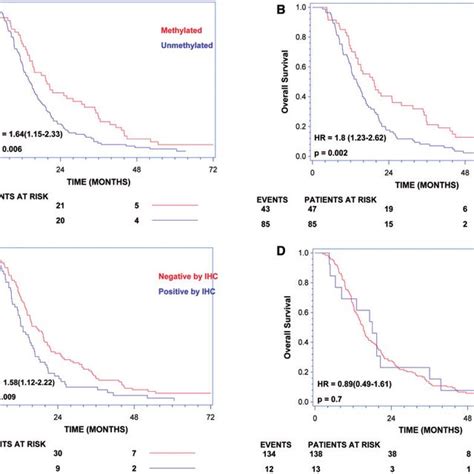 Overall Survival Analyses According To Mgmt Methylation Status