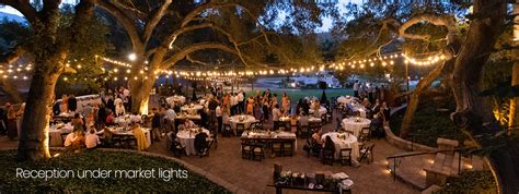 Outdoor Wedding Ceremony Under A Tree