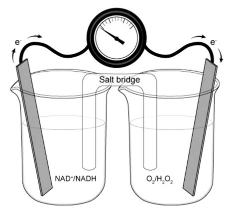 what does the electrolytic solution do? : r/Mcat