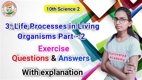 Life Processes In Living Organisms Part 2 Exercise 10th Class Science Part 2 Chapter 3