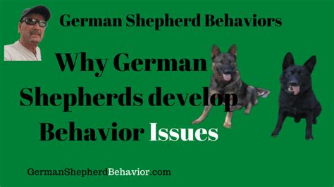 German Shepherd Behavior Problems | How To Solve your GSD Behaviors