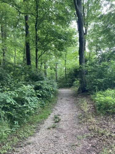 Best Hikes And Trails In Middleton Mills Park Alltrails