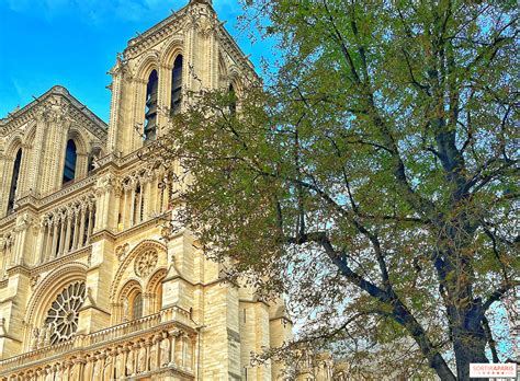 Les trésors de la cathédrale Notre Dame de Paris exposés à l automne