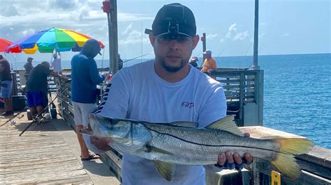 Como Pescar RÓbalo O Snook Pargo Y Jack Crevalle Desde Un Puente